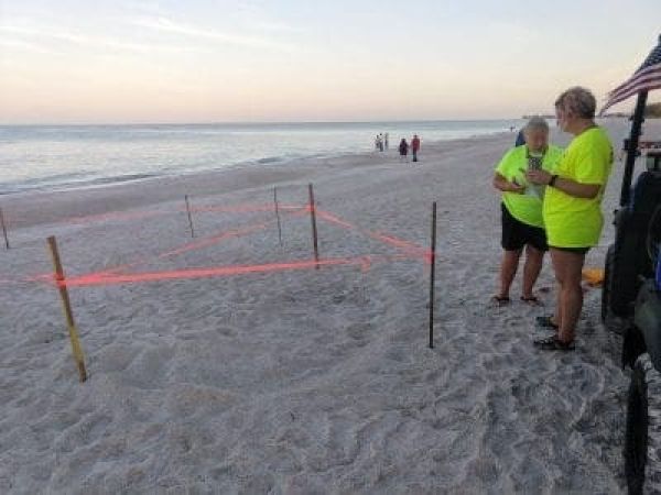 An even start to turtle season