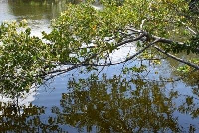 Aeration plans take shape for Spring Lake