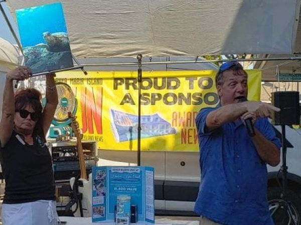 Turtle, bird fans flock to support Turtle Watch