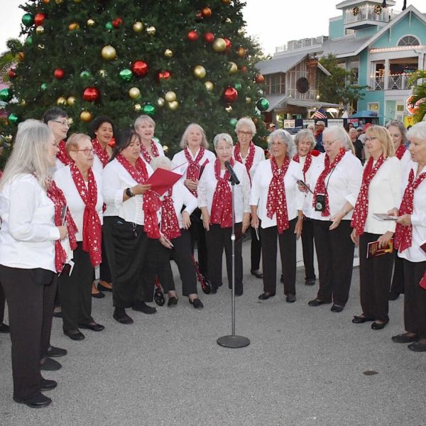 Christmas tree lights up Bridge Street