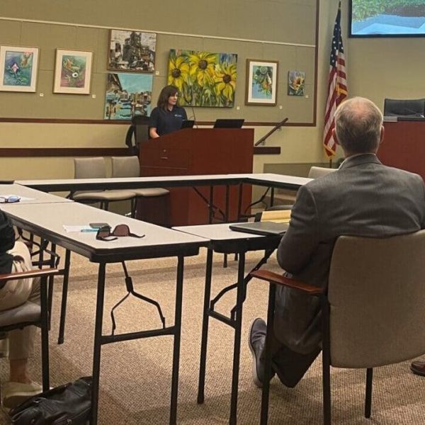 Mayors propose to regulate mangroves