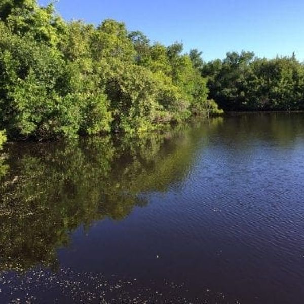 Holmes Beach Spring Lake update