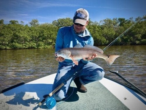 Reel Time: Cameras &ndash; catch and release digitally