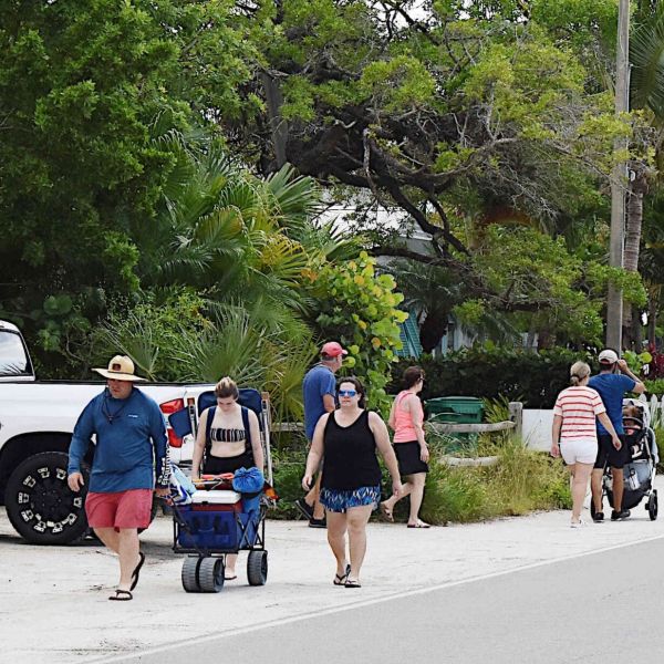 Reimagining Pine Avenue meetings conclude