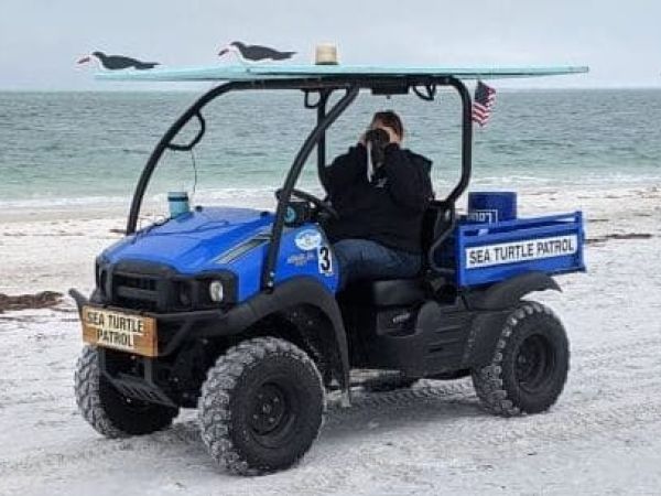 Coronavirus affecting turtle, bird monitoring