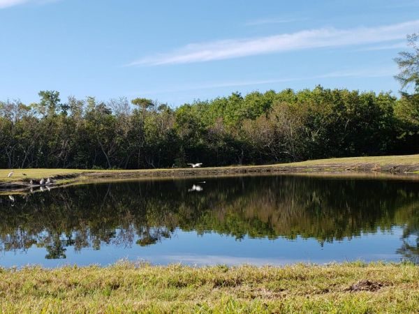 FISH Preserve opens this week