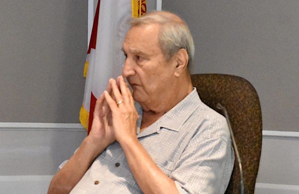 Proposed charter amendments presented as ordinances