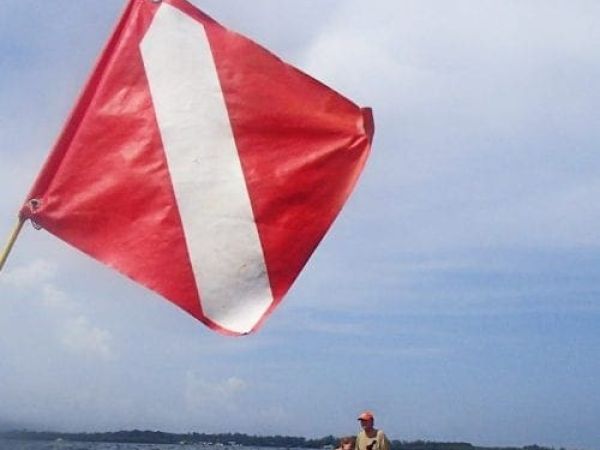 LifeLines: Diving and snorkeling