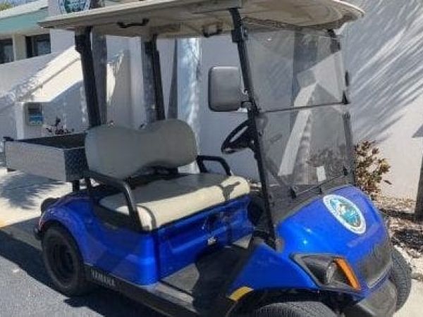 Grace period given for golf cart seatbelts