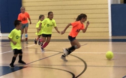 Cloud Pest Control overshadows Solid Rock Construction