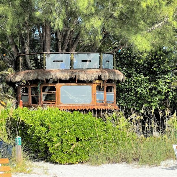 Tree house owners push for trial date