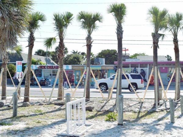Bradenton Beach celebrates Arbor Day park improvements