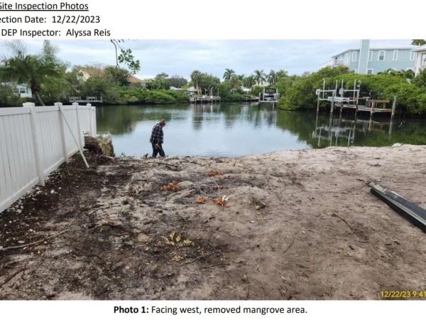 Mangrove removal under Army Corps review