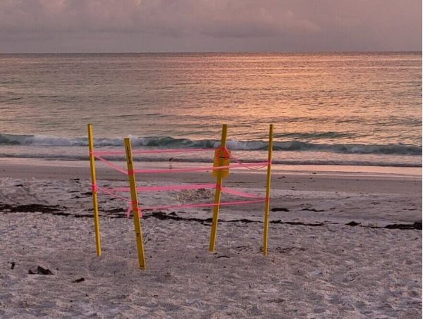 Year in review: Environment