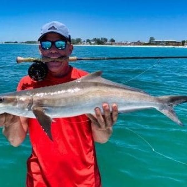 Reel Time: The cobia