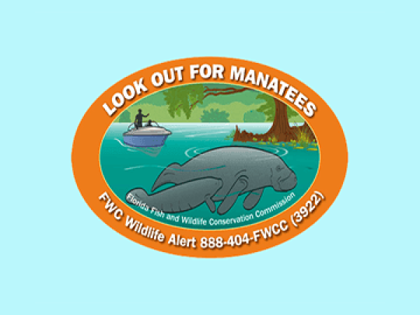 manatee decal