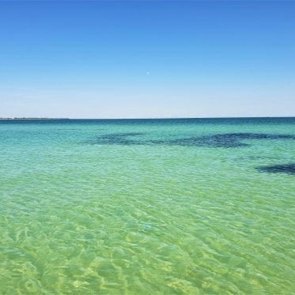 Coast Lines: Happy Earth Day from Anna Maria Island