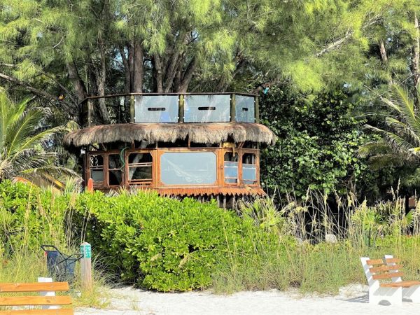 Tree house owners push for trial date