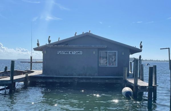 State seeks contempt ruling in net camp case