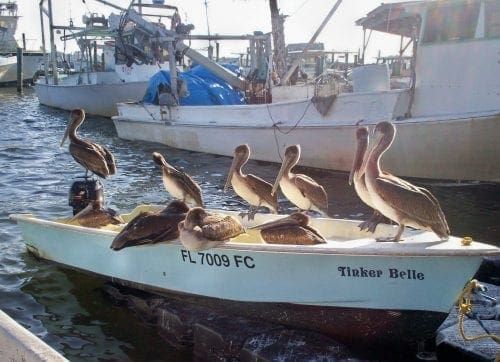 LifeLines: Fishing tackle