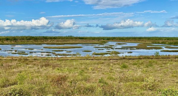 Reel Time: Oyster River Ecology moving restoration forward