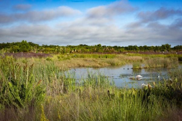 Enlightened self interest