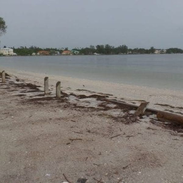 Palma Sola Causeway missing bollards