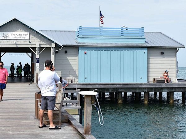 Murphy to Mote: Fish or cut bait