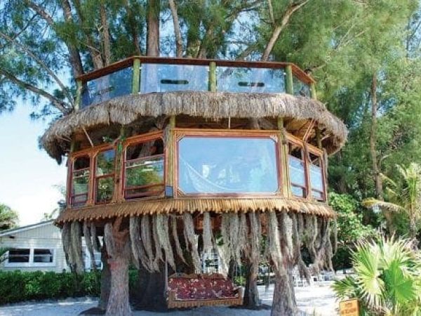 Tree house