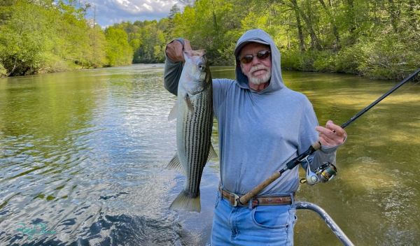 Reel Time on the Road: River of painted rocks
