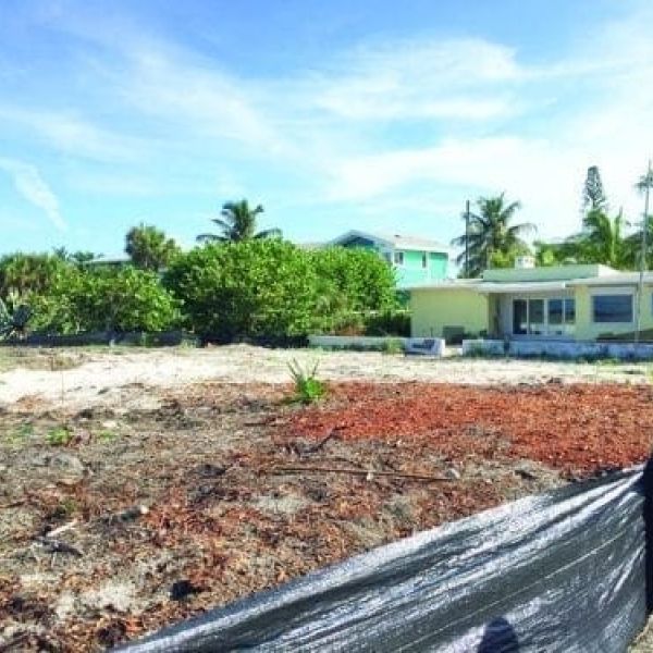 Dune vegetation destruction