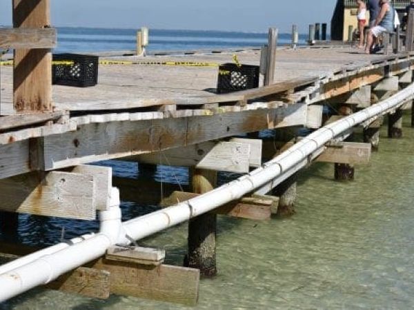 Rod & Reel Pier closes but quickly reopens