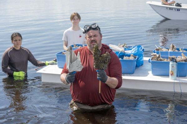 Restoration efforts go big