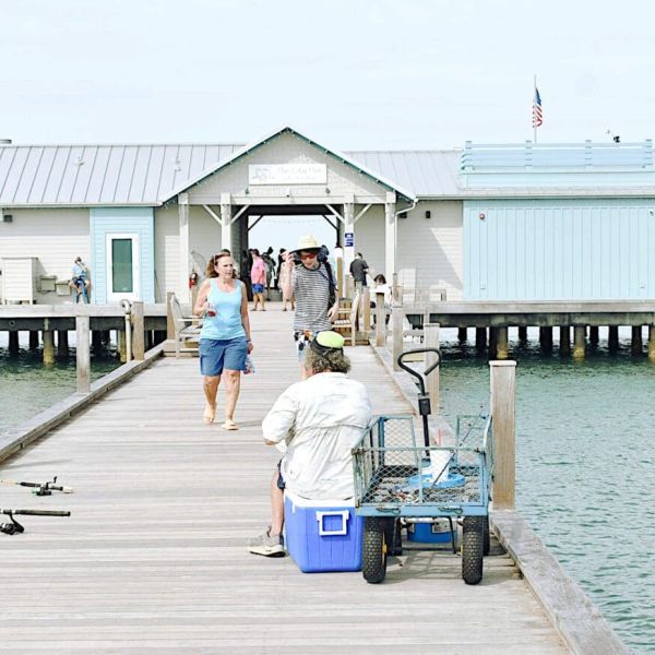 Commission formally extends Mote Marine deadlines