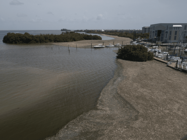 Vote water