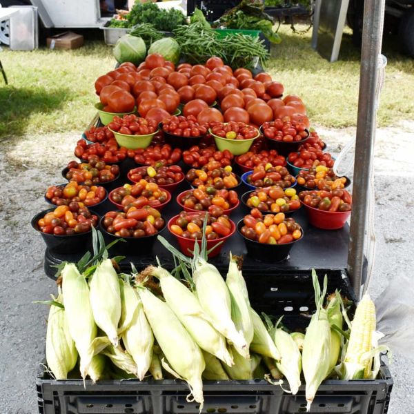 Anna Maria farmers market returns