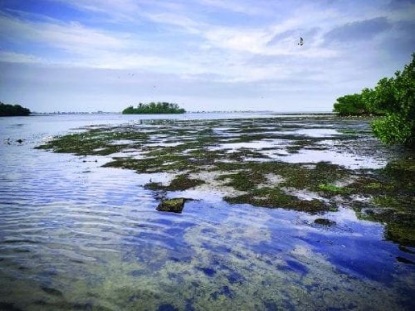 Reel Time: The ups and downs of tides