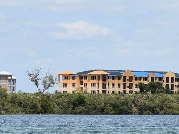 FDEP releases Aqua mangrove trimming report