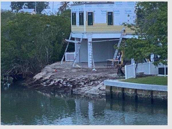 Mangrove removal triggers scrutiny