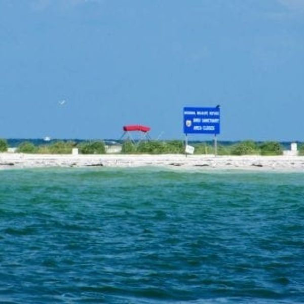 Coast Lines: Save the refuge for the birds