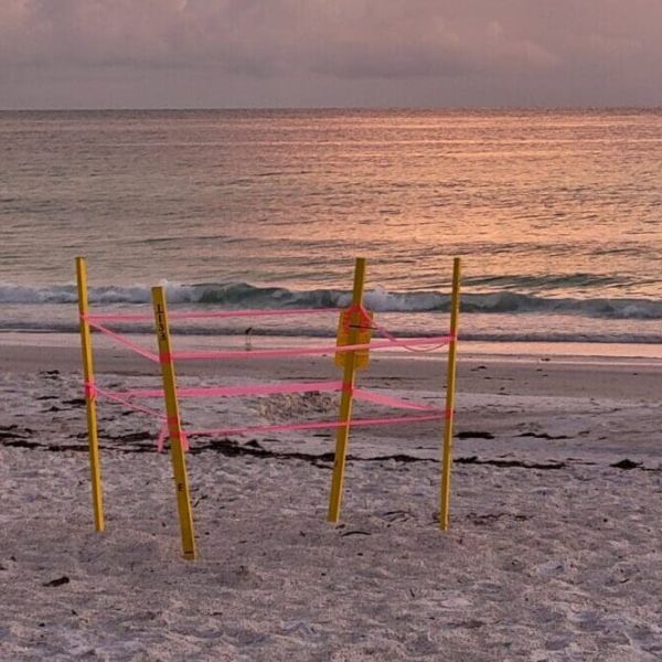 Year in review: Environment