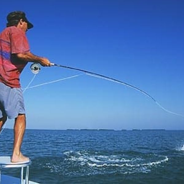 Reel Time: Tarpon time is coming