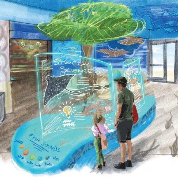 Mote modifies pier facility proposal