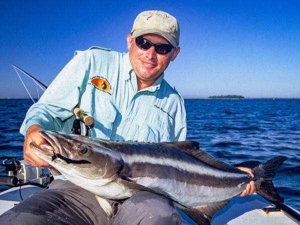 Keep an eye out for cobia