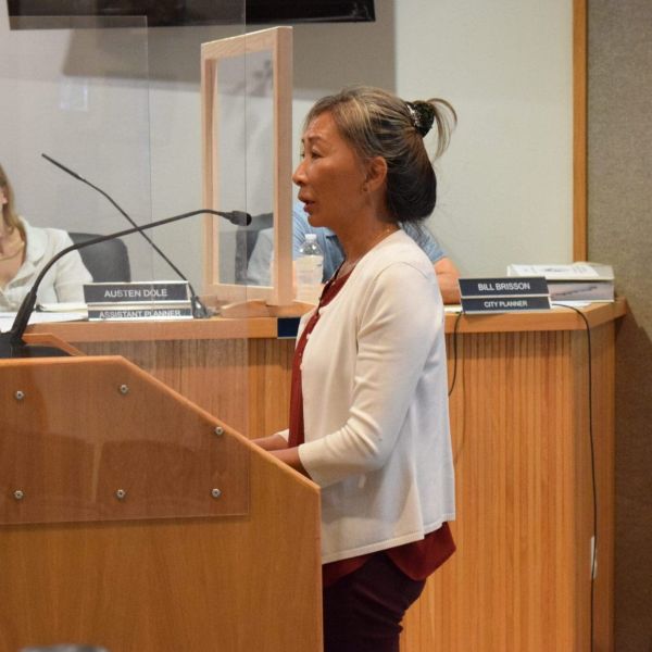 Treehouse owners consider removal