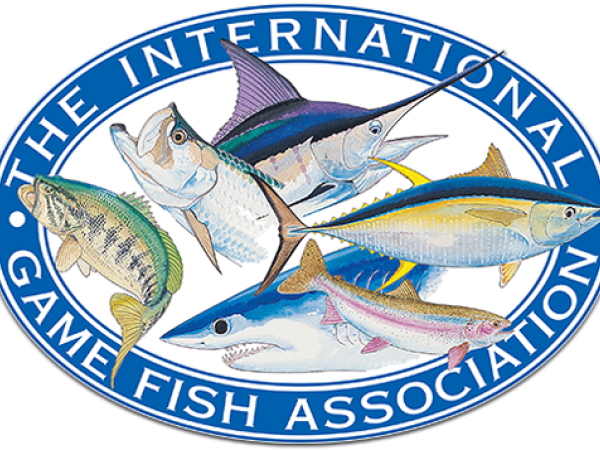 Hurricane recovery grants available for fishing captains, guides