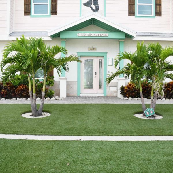 Cities losing authority to regulate artificial turf lawns