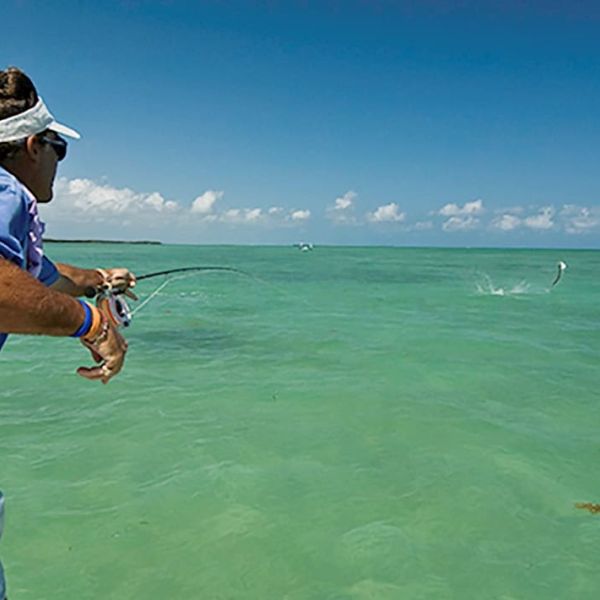 The apex of angling: Part two