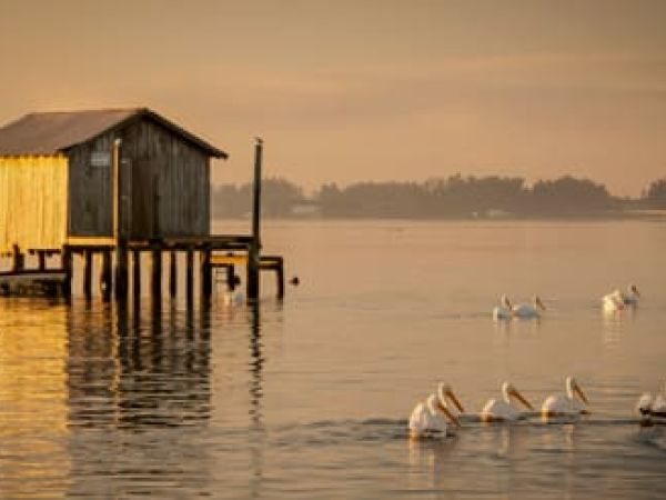 An anniversary of resilience