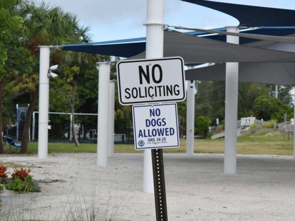 Board suggests allowing dogs in City Pier Park